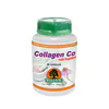 Willow Collagen Co with Peptides 90 Capsules